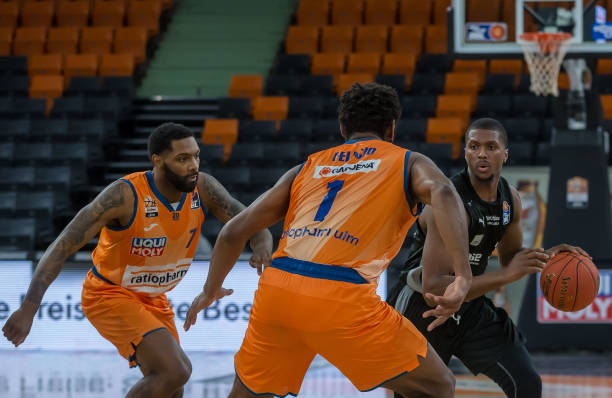 不仅展示了 不仅展示了